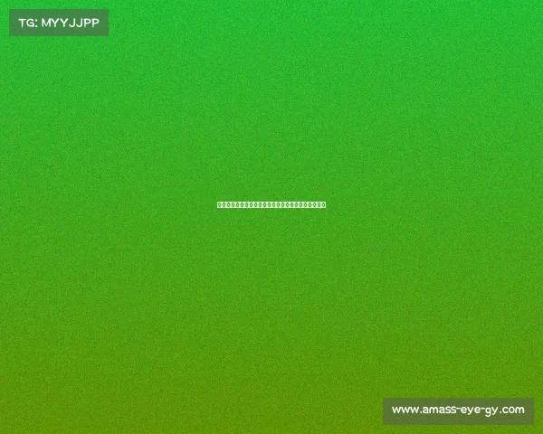 奥尔莫:弗里克生气时切换英语希望特狮尽早回归球队 奥尔莫:弗里克生气时切换英语希望特狮尽早回归球队